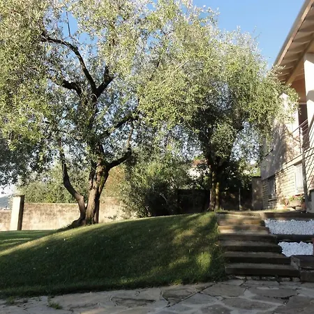 Freddy House